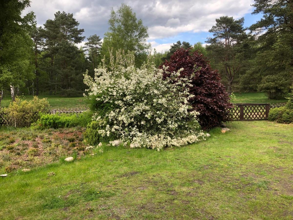 Landhaus Mitten In Der Lueneburger Heide Undeloh Exterior foto
