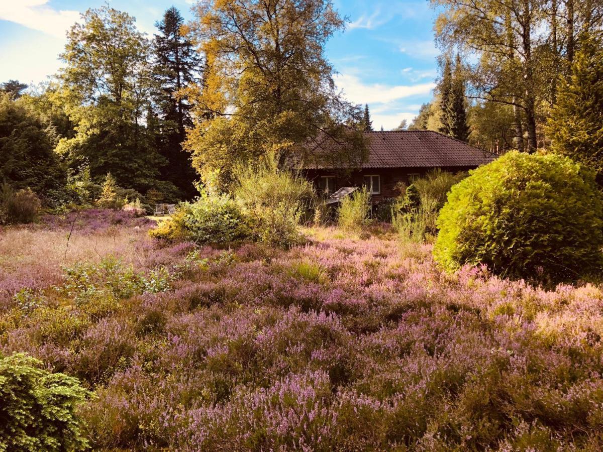 Landhaus Mitten In Der Lueneburger Heide Undeloh Exterior foto